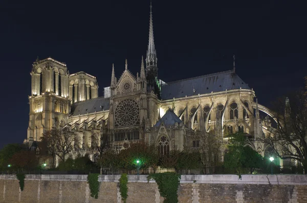 Notre Dame von Paris bei Nacht lizenzfreie Stockbilder