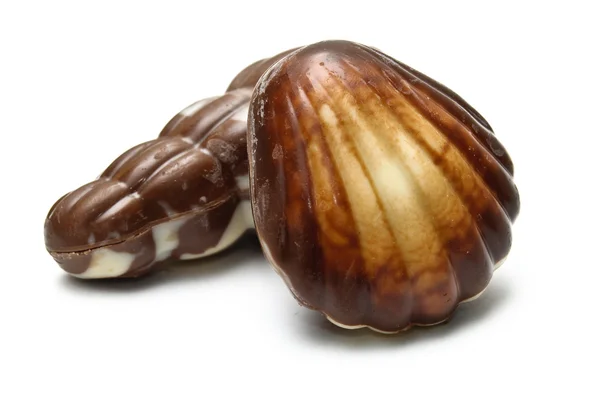 Шоколадний опудало і молюск — стокове фото