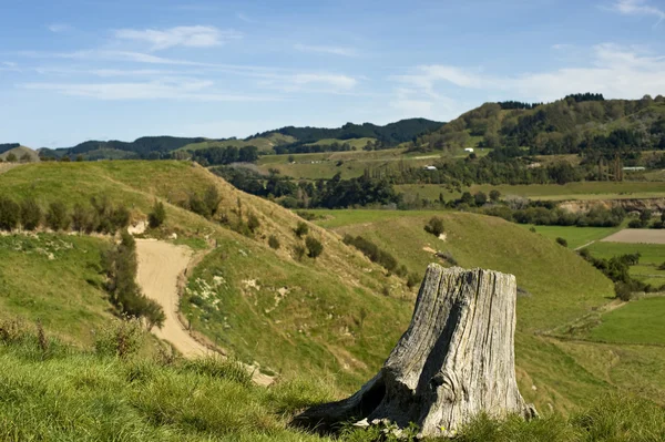 stock image Farm land