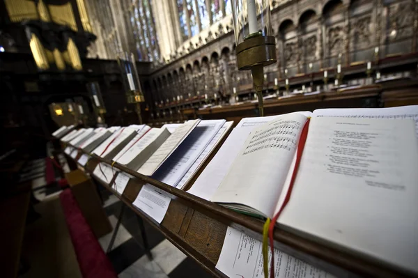 stock image Cathedral Choir