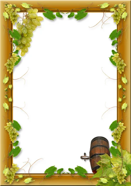 Winorośli i winogron — Zdjęcie stockowe