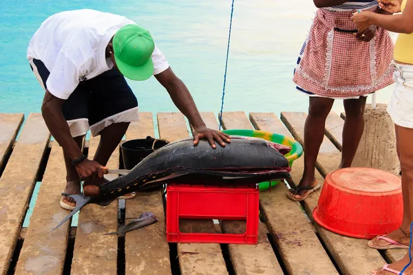 Pesce fresco e pescatore a Santa Maria, Isola di Sal, Capo Verde — Foto Stock