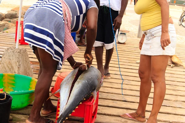 Fresh fish and fisherman in Santa Maria, Sal Island, Cape Verde — Stock Photo, Image