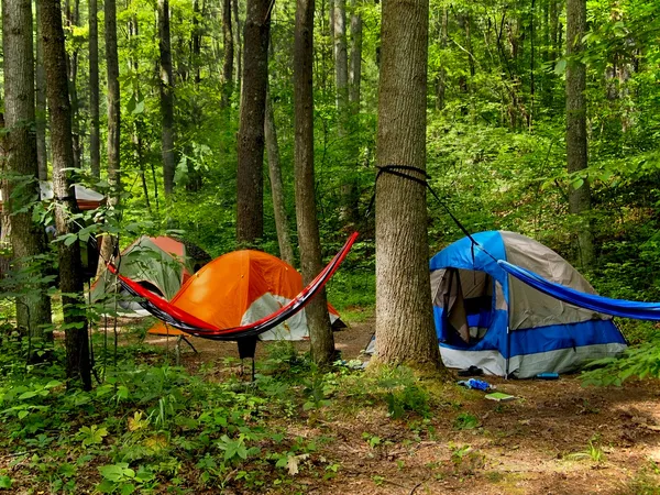 숲 속에서 캠핑 스톡 사진