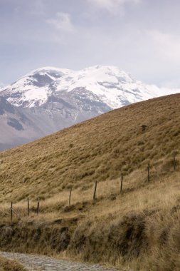 Chimborazo Dağı