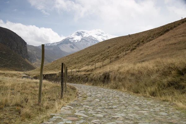 Chimborazo berg Royaltyfria Stockbilder