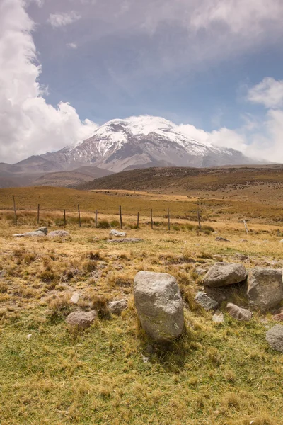 Chimborazo-Berg Stockfoto