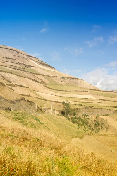 Andean landscape Royalty Free Stock Images