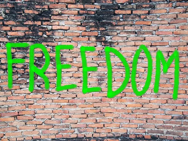 Freedom word on the wall — Stock Photo, Image