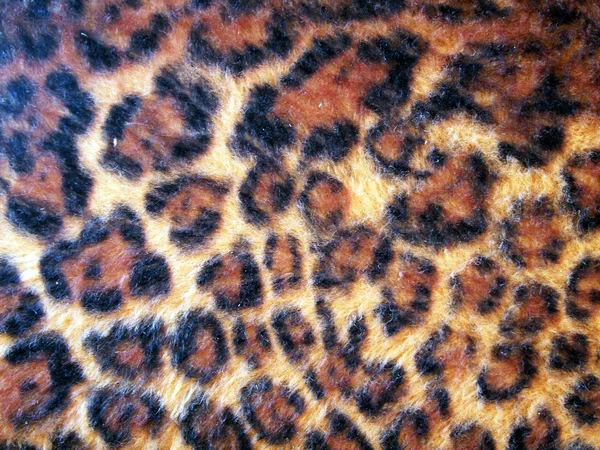 タイガー パターン背景 — ストック写真