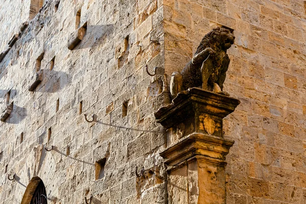 Lev na fasádě domu v volterra, Toskánsko, Itálie — Stock fotografie