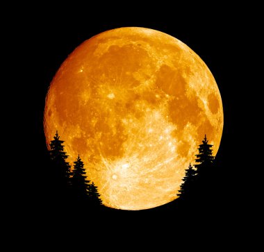 Shined full moon clipart