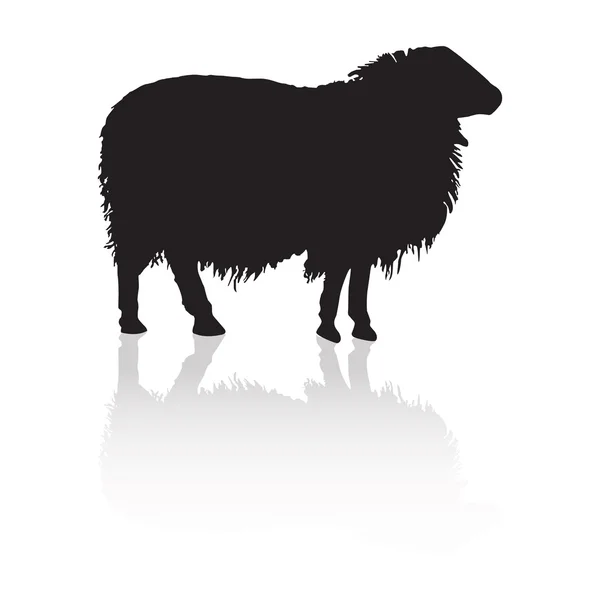 Koyun - çiftlik hayvan siluet — Stok Vektör