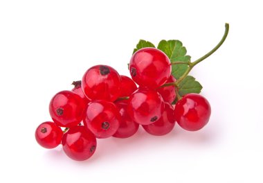 Red currant, isolated on white clipart