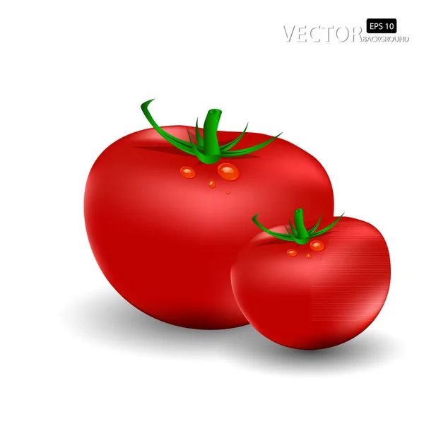 Tomate Vermelho — Vetor de Stock