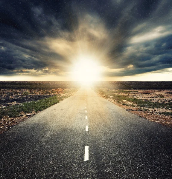 The road — Stock Photo, Image