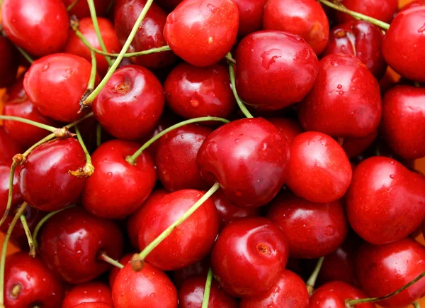 stock image Cherry with stem attached