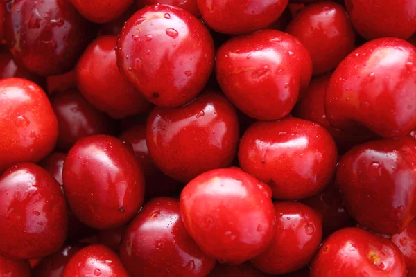 stock image Cherry without the stem attached