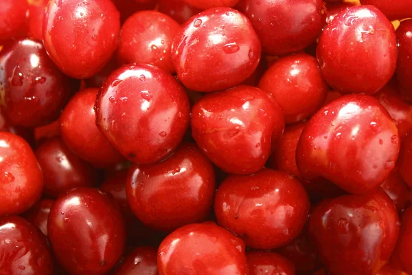 stock image Cherry