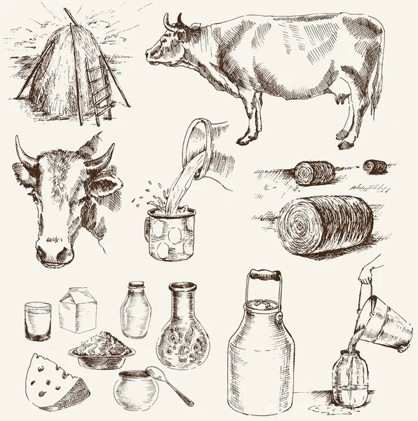 Ko-och mjölkprodukter — Stock vektor