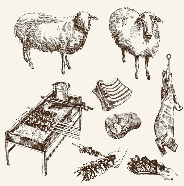 Sheep breeding — Stock Vector