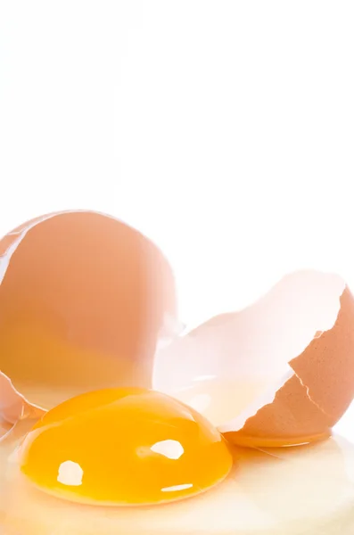 Raw egg broken — Stock Photo, Image
