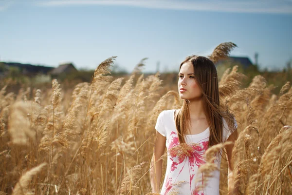 stock image Young girl in the reeds