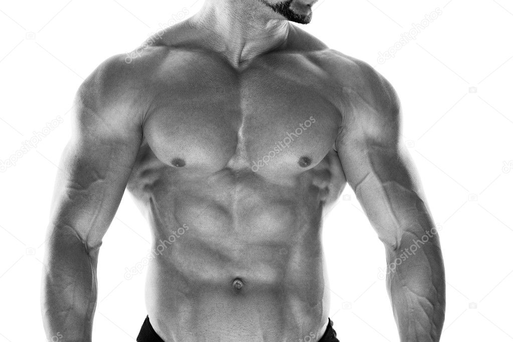 Muscular male torso isolated on white