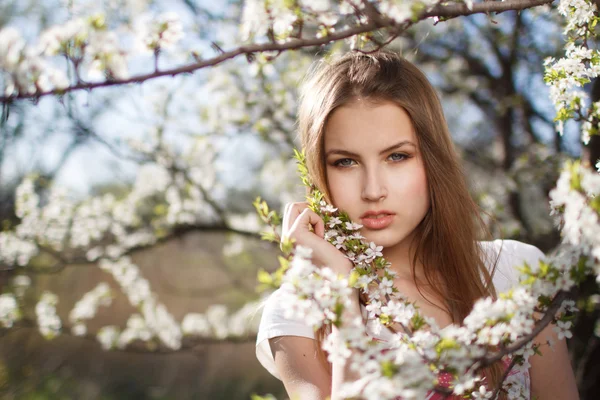 Stock image Beautiful girl in the branches