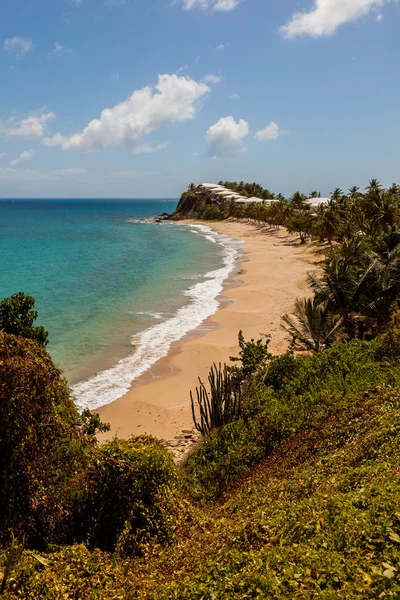 Piękny słoneczny tropikalny Karaibów plaży krajobraz carlisle bluf — Zdjęcie stockowe