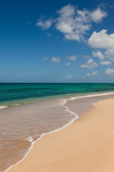 Beautiful Sandy Tropical Beach Ocean Seascape Blue Sky Fluffy Cl — Stock Photo, Image