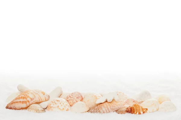 Confine orizzontale Sea Shell su sfondo bianco Asciugamano Texture — Foto Stock