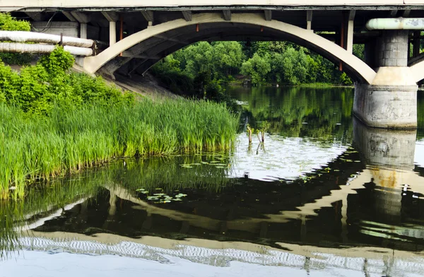 stock image Bridge reflection in the river