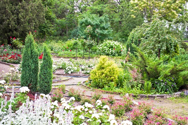Garden landscape design — Stock Photo, Image