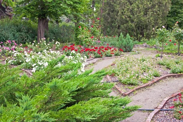 정원 풍경 설계 — 스톡 사진