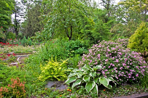 Projeto paisagístico jardim — Fotografia de Stock