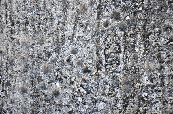 Di cemento. Texture . — Foto Stock