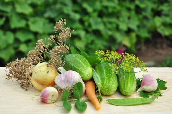 Stilleben med färska grönsaker. — Stockfoto
