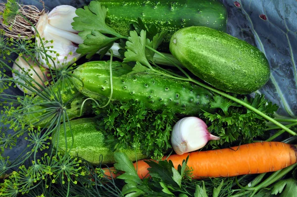 Achtergrond van verse groenten. — Stockfoto