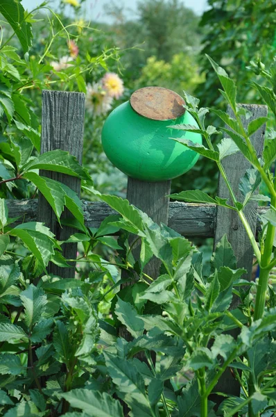 Pot on the fence. — Stock Photo, Image