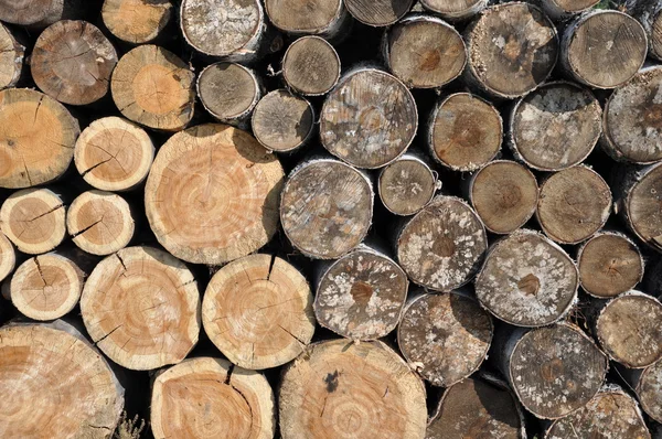 Stack of wood — Stock Photo, Image