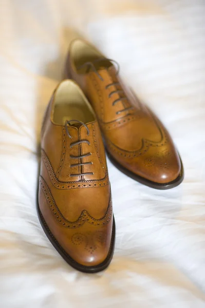 Paar Herren Brogue Schuhe — Stockfoto