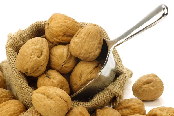 Fresh walnuts in a burlap bag with a metal scoop — Stock Photo, Image