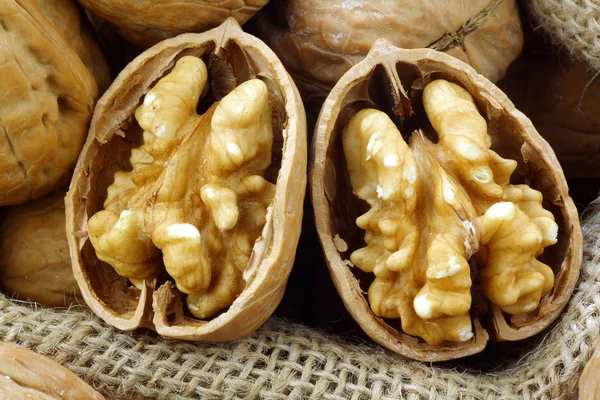 Two fresh walnut halves — Stock Photo, Image