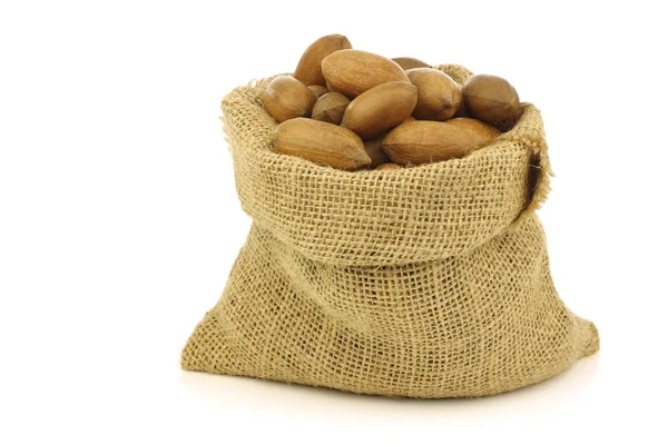 Savoureux noix de pécan dans un sac en toile de jute — Photo