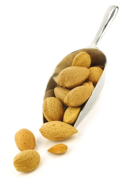 Tasty almond nuts on a metal scoop — Stock Photo, Image