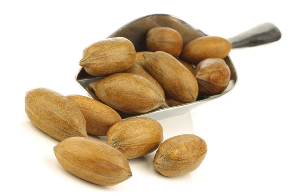 Tasty pecan nuts in a metal scoop — Stock Photo, Image
