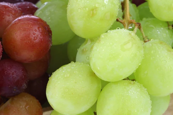 Фон из красного и белого винограда — стоковое фото
