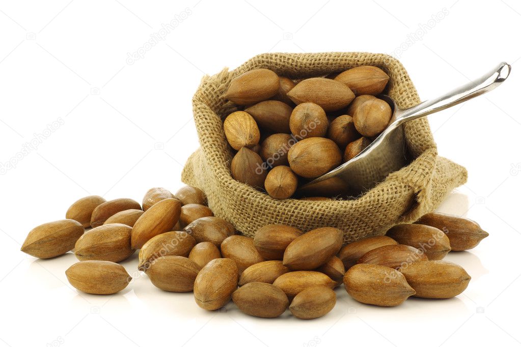 Tasty pecan nuts in a burlap bag with a metal scoop