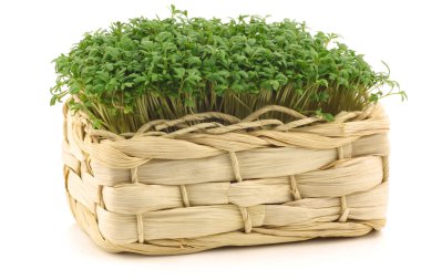 Fresh watercress in a woven basket clipart